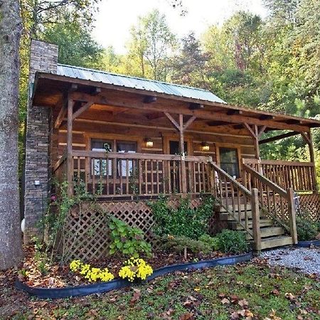 Peaceful Tellico View Home With Private Hot Tub Tellico Plains Zewnętrze zdjęcie